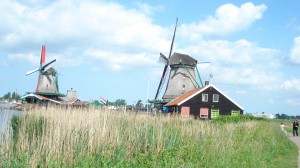 DSC03664
